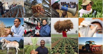 The ICARDA 2030 Research and Innovation Strategy