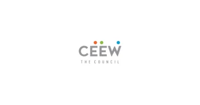Renewable energy accounted for 71% of India’s power generation capacity addition in FY24: CEEW-CEF